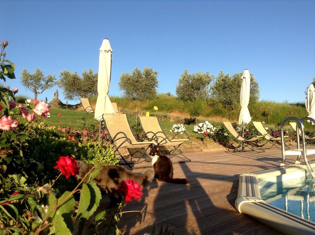 Agriturismo Podere La Marronaia سان جيمينيانو المظهر الخارجي الصورة